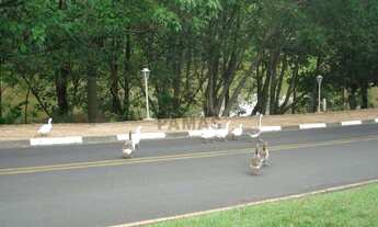 Imagem 6: Casa em condomínio fechado com 04 suítes, 320m² AC, piscina, 04 vagas, Vinhedo, interior