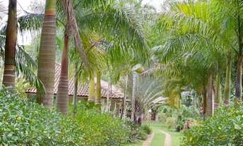 Imagem 2: Lote 300 m2 Terreno / lote com venda por R$52.000