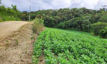 Imagem 6: Chácara 24.200m2 Campo largo/Colônia São João