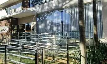 Imagem 2: LONDRINA - Padrão - Centro