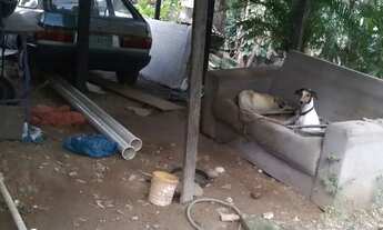 Imagem 4: Vende-se ou troca em cinto