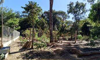 Imagem 3: Casa Condomínio Mansões Morumbi Lote 1320 mt²