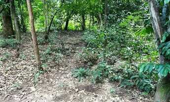 Imagem 5: Imóvel Chácara venda 1500 m2 em Área Rural de Senador Canedo - Senador Canedo - GO