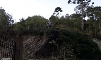 Imagem 4: Chácara em Almirante Tamandaré