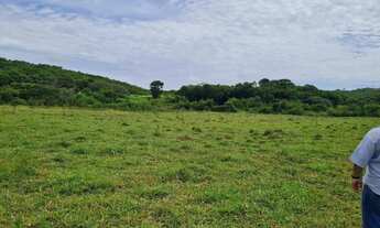 Imagem 5: Fazendinha /região MONTES CLAROS...149 Hectares!!!