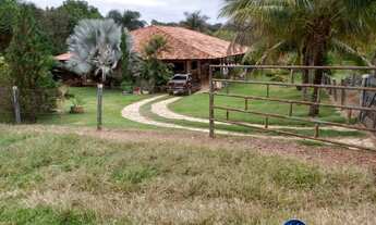 Imagem 7: Chácara à Venda com 8,5 Alqueires em Corumbaíba GO