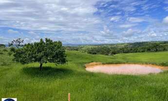 Imagem: Chácara à Venda em Silvânia/GO 3 Alqueires