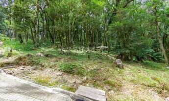 Imagem 2: TERRENO CONDOMÍNIO PINHEIRO GROSSO