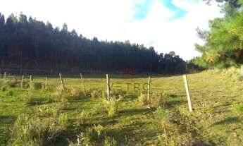 Imagem 5: Sítio em São Francisco de Paula!