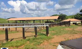 Imagem 5: Vende-se 2 Fazendas em Alto Alegre - Roraima