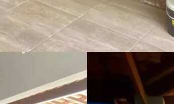 Imagem 4: Sítio à venda - 8 tarefas - Retiro de Coração de Maria (BA