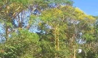 Imagem: Terreno/lote para venda tem 5000 m² em