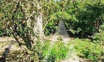 Imagem 5: Casa com 3 dormitórios à venda, 160 m² por R$ 995.000,00 - Ibiraquera - Imbituba/SC