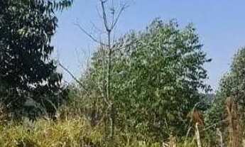 Imagem 6: Terreno à venda, 489 m² por R$ 70.000 - Estrada do Moinho 2 - Nazaré Paulista/SP