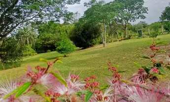 Imagem 2: CAUE IMOVEIS VENDE Belíssimo Sítio de 1900m2 em Águas Claras