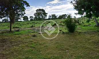 Imagem 6: Sitio em poconé com 16 ha com duas represas para criação de peixes codigo: 116857