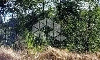 Imagem: Área de terra com 2.500m2 no Santo Ventoso