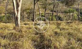 Imagem: FAZENDA À VENDA 105,3 HECTARES Localização