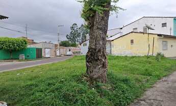 Imagem 6: Vende-se terreno em Itaporanga DAjuda