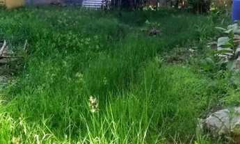 Imagem 4: AREA - JARDIM LAS VEGAS - SP