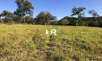 Imagem 3: Fazenda de 42 alqueires (207 hectares) - Pires do Rio - Go