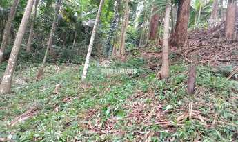 Imagem 4: Próximo a Casa da Fazenda 2.675,0m²