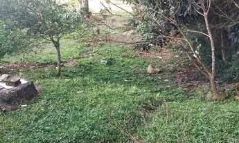 Imagem 4: Terreno são José dos Pinhais,contenda