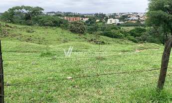 Imagem: Terreno 3.365m² à Venda no Bairro Monte