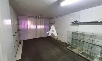 Imagem 7: Aluguel Loja CENTRO