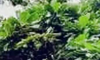 Imagem: Apartamento em Rua Garcia D x27 Avila