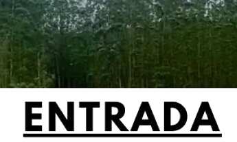 Imagem: 86C- COTIA OFERECE TERRENOS BARATOS E COM