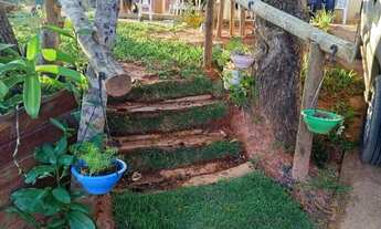 Imagem 5: Vendo a chácara * ou *5