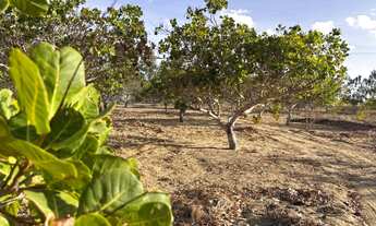 Imagem 3: Sítio em Lagoa Nova