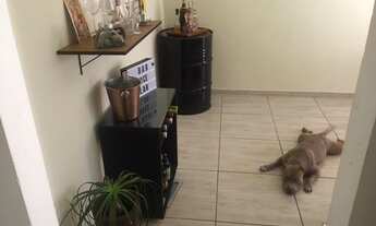 Imagem 7: Casa dois quartos varanda garagem bairro vila rica - tiradentes