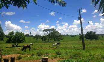 Imagem 7: Sítio em Castilho com 3 alqueires