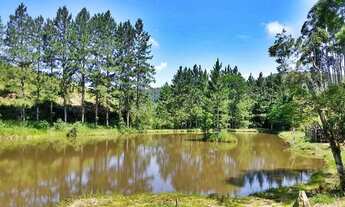 Imagem 7: Vende uma fazenda de 5 alqueires em Paraibuna