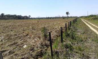 Imagem 4: Excelente área de terras de matas, rica de água