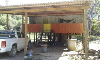 Imagem 3: Excelente área de terras de matas, rica de água