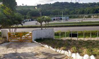 Imagem 2: Granja em bonança