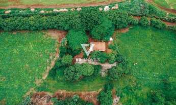 Imagem 7: Chácara em Nerópolis