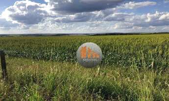 Imagem 6: Fazenda à venda, 405 alqueires por R$ 81.000.000 - Ipameri/GO