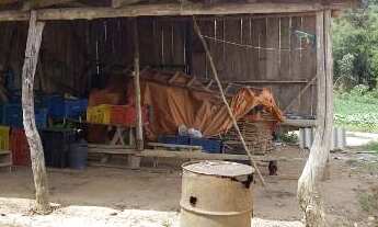 Imagem 5: Excelente Chácara