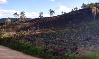 Imagem 2: Chácara Almirante Tamandaré 41000m² 16Km Curitiba-Abranches, 2km asfalto