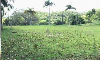 Imagem 7: Sítio à venda, 22000 m² por R$ 790.000,00 - Minas - Ilhota/SC