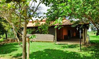 Imagem 4: Fazenda - Indiara (GO