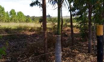 Imagem 3: Chácara Itaberaí com 1 alqueire e 14 litros