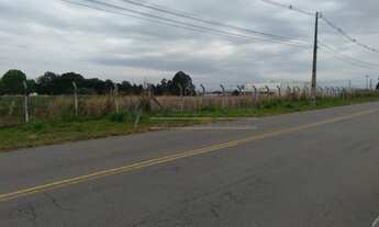 Imagem 3: SãO JOSé DOS PINHAIS - Terreno Padrão - Campo Largo da Roseira