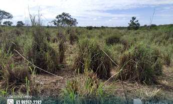 Imagem 5: Fazenda com potencial para agricultura no Pium-TO