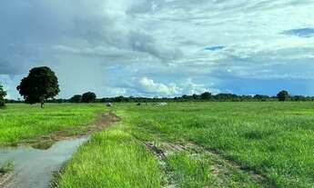 Imagem 4: Fazenda/Sítio/Chácara para venda tem 2500000 metros quadrados com 3 quartos