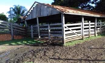 Imagem 2: Fazenda mirassol ( mirassol do oeste